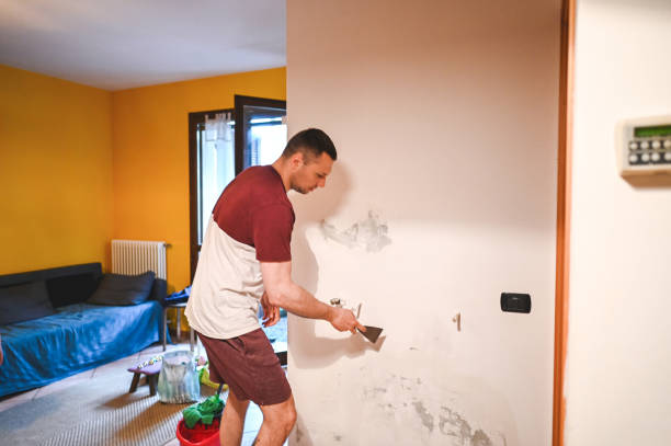 Best Water Damage Restoration  in Pleasant View, UT
